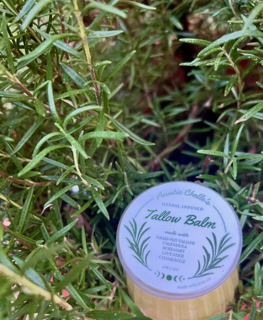 A travel tin of Tallow Balm resting in a rosemary bush
